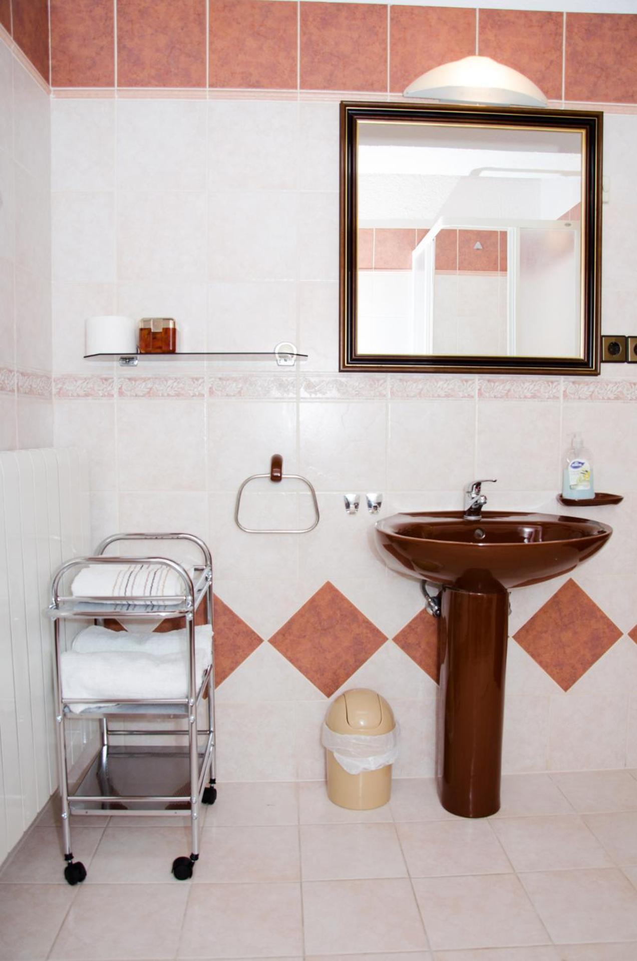 Guesthouse Ruza - Apartments 塞尼 外观 照片