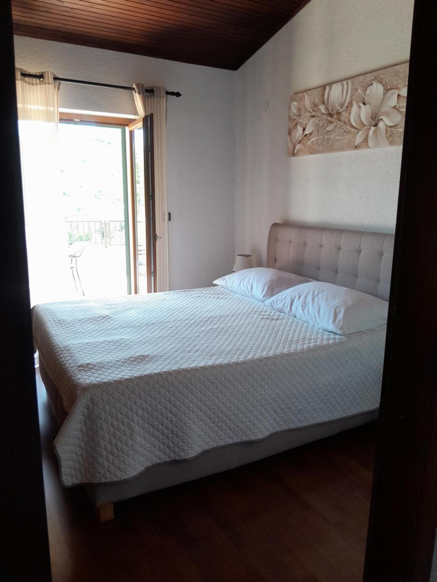 Guesthouse Ruza - Apartments 塞尼 外观 照片